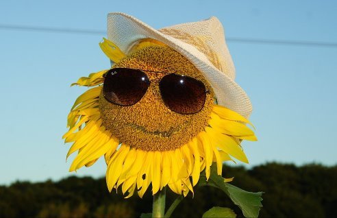 Белгород Гражданский Проспект 2