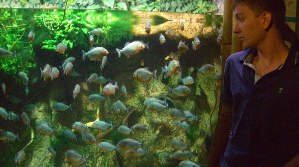 Миха Голобоков