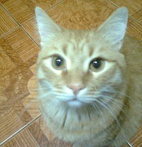 Сергей Риваненков