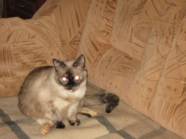 Владимир Гусев