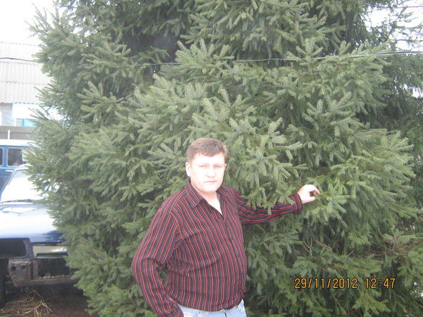 Андрей Леонтьев