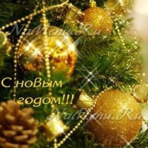 Яна Сергеева