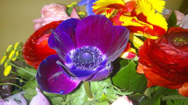 Лидия Строилова