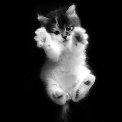 Алена Барышникова