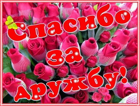 Волчара Vitaliy