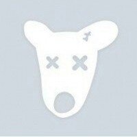 Сергей Смелый