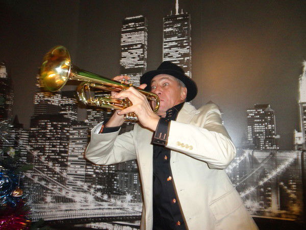 Магнолия Дистард