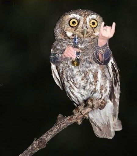 Фуркат Исламов