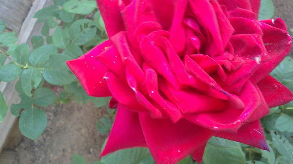 Мария Демочкина