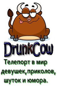 Drunkcow Net