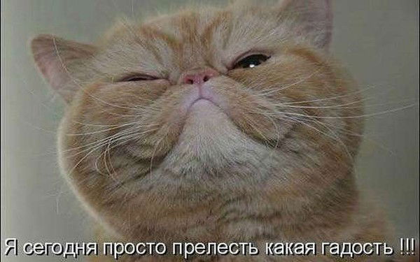 Алексей Чикирев