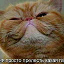 Алексей Чикирев