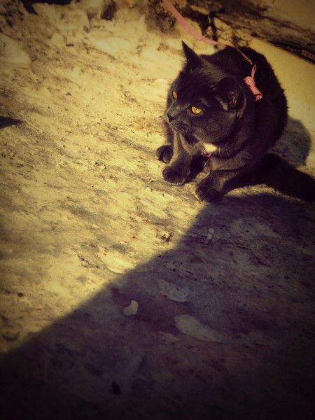 Кристина Моисеева