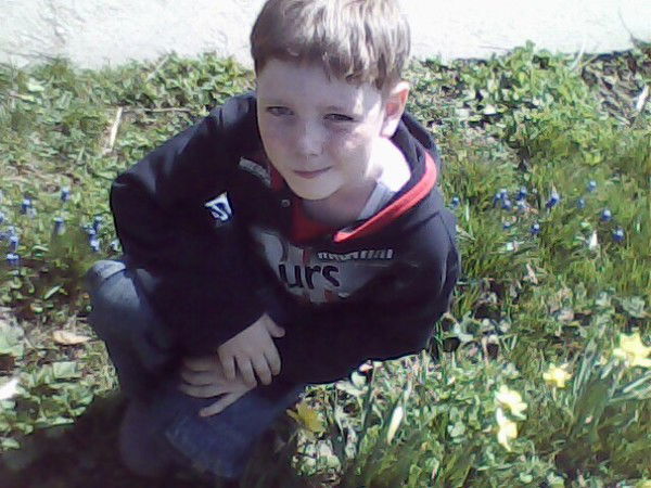 Алеша Луценко