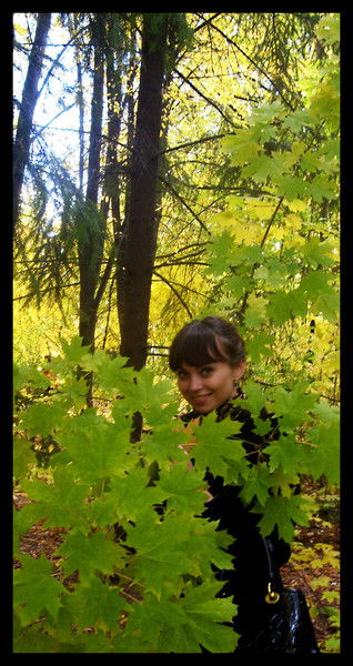 Дарья Шевченко