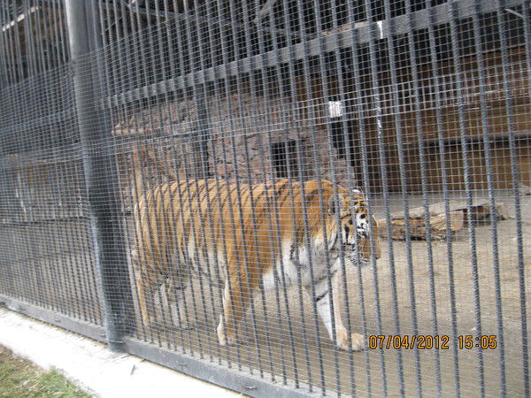 Александр Слободчиков