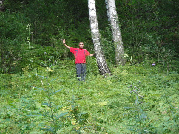 Валерий Дикий