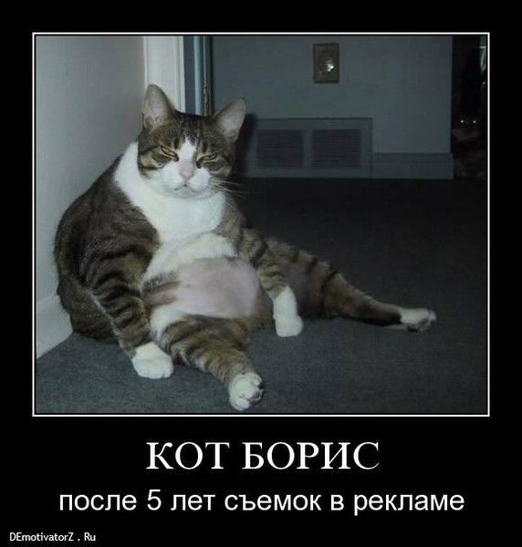 Артём Самоволькин