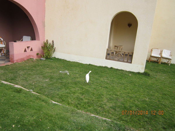 Ольга Соколенко