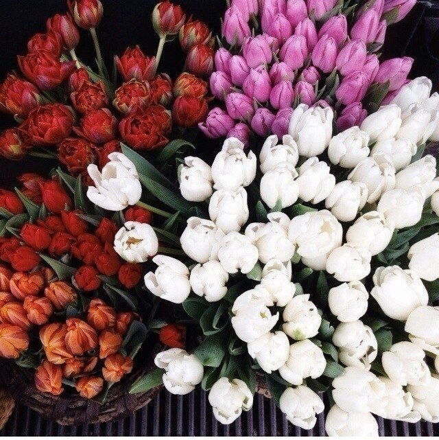 Баян Жарболова