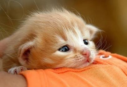 Шынар Сериккызы