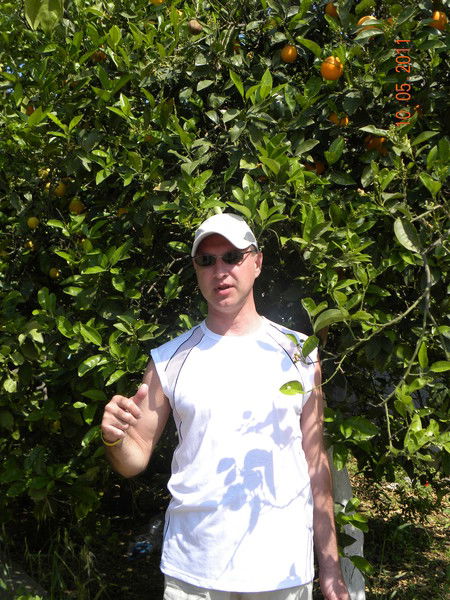 Сергей Власов