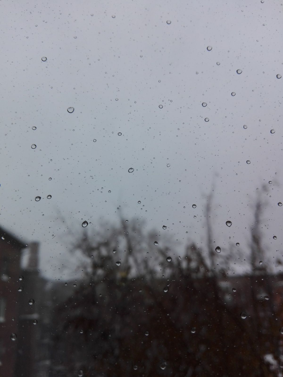 Ванёк Никкель