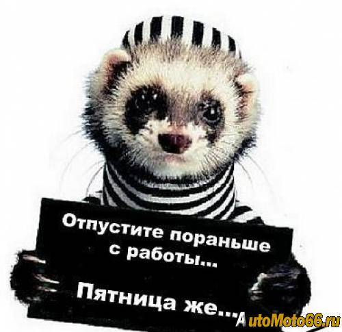 Виталий Сорокин