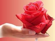 Жизнь Прекрасна Прекрасна