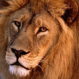 Александр Свечников