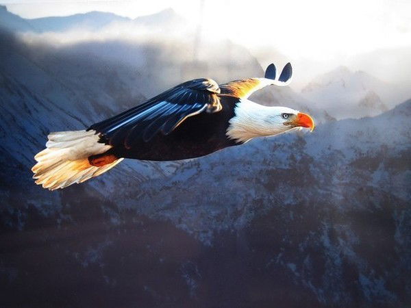 Алик Раимбек