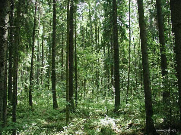 Татьяна Южакова