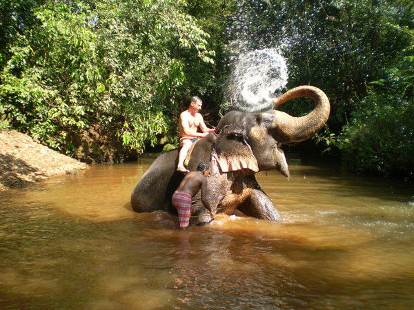 Новицкий Максим