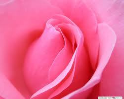 Айжан Аметжанова