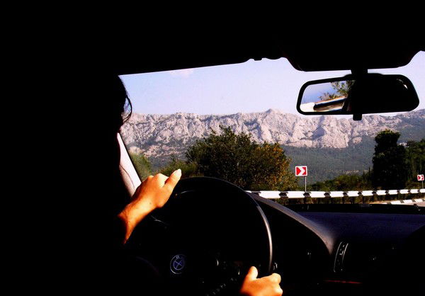 Дина Мельник