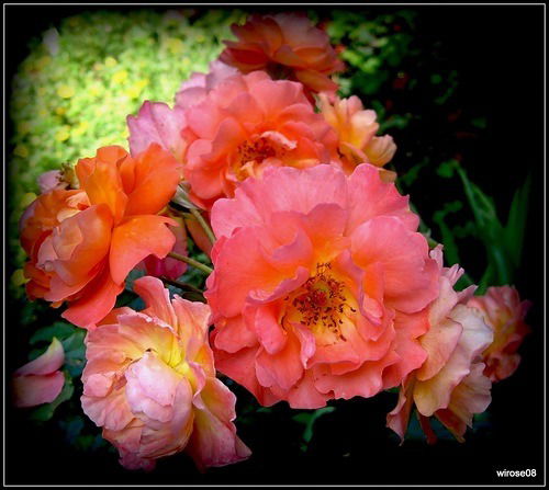 Бахыт Дюсенова