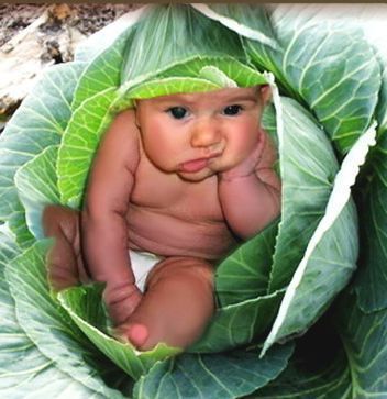 Алия Смаилова