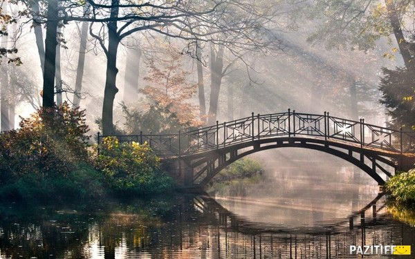 Ксения Юранова