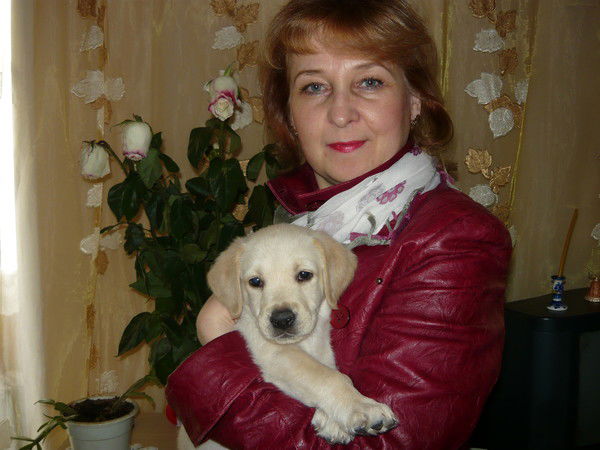 Светлана Войтанович