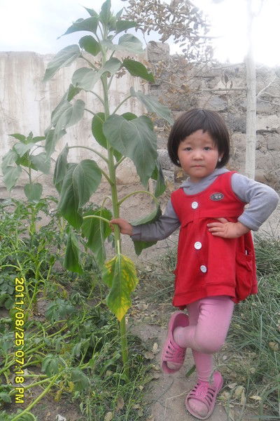 Меру Байжума