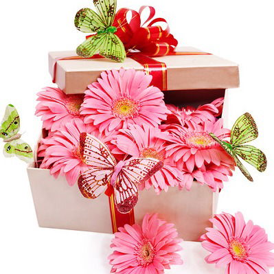 Анастасия Кан