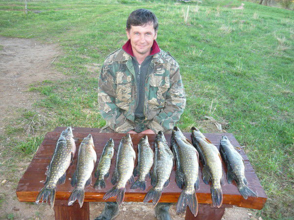 Вячеслав Щелочков