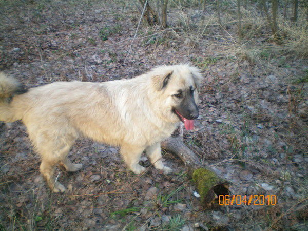 Светлана Гринюк