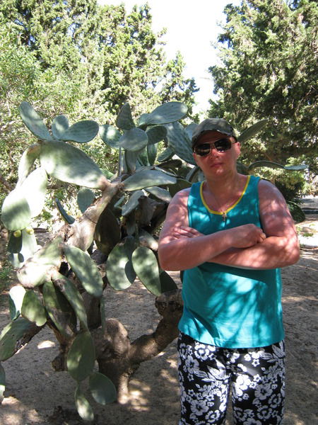 Алексей Софьин