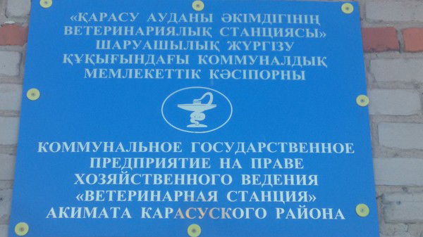 Ветеринарная Станция Карасу