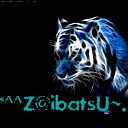 + ~(Zaibatsu)~+