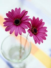 Наила Зулфугарова