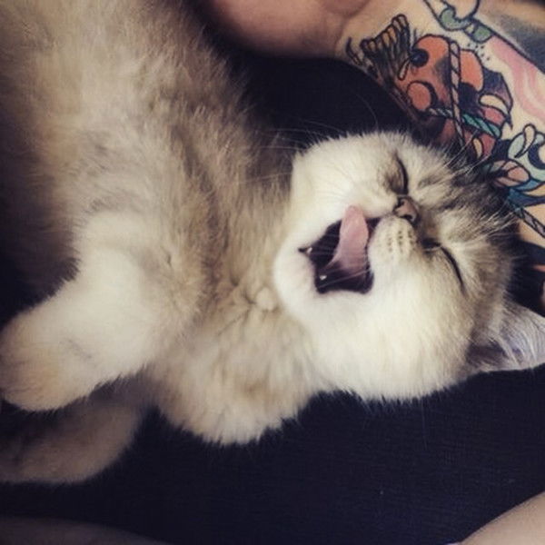 Карина Олеговна