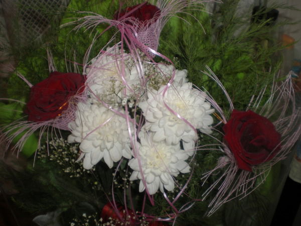 Елена Быченко