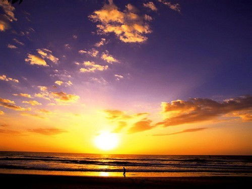 Павел Андронов